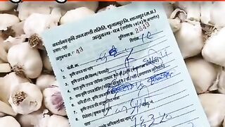 आज का लहसुन मंडी भाव शुजालपुर मंडी 19/02/2024