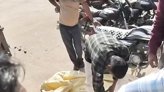 Today Mandi rate shujalpur mandi