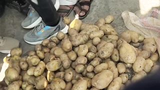 आलू मंडी भाव