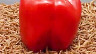 10.000 Worms.