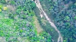Have you ever gone bungee jumping
