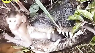Eggs on
