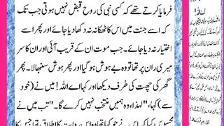 اسلامی معلومات Like share follow