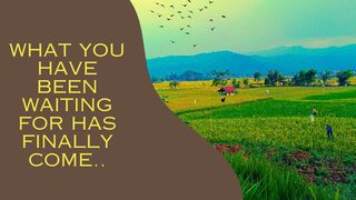 When the farmer harvests, he is happy