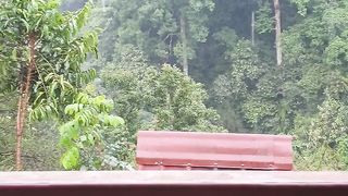 Love Rain