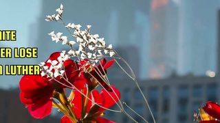 Inspirational Quote from Famous People