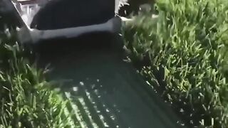 nasib jadi cowok jelek