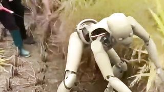 चाइना में रोबोट करते है खेती_ _ China robot technology _.