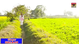 Gulaab_-_Lok_Puchdin_-_Mushtaq_Ahmed_Cheena