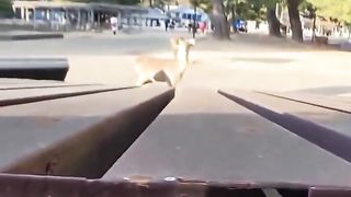 An unexpected turn of events for a girl