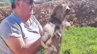 Walking with a sloth to epic music