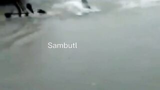 Funny short video