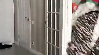 Қайнонаси бир ой дам олишга санаторийга кетибди ????  Келинларга юбориб қўямиз )