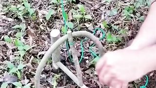 Bushcrafts