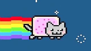 Cute cat's