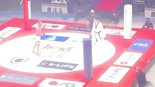 UFC vs TAEKWONDO