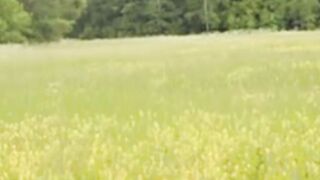 Beautiful nature