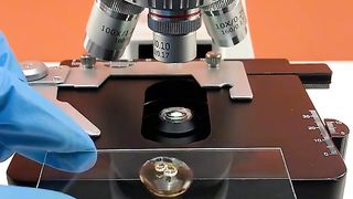 Viewing Coke under the microscope