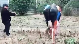 New fashion