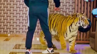 Beautiful_tiger_in_the_whole_world