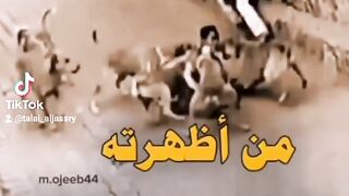 المواقف