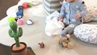 Dancing Cactus Babies
