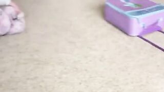 Cute Little Babies and Cats Being Funny Hilarious