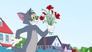 Tom & Jerry   Flower Season ????   @WB Kids