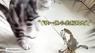 Wow the speed is godlike level)  try to watch, just watch