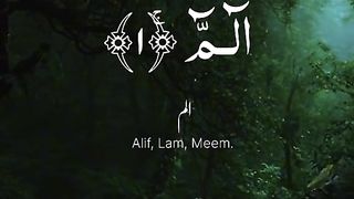 Powerful Quran recitation