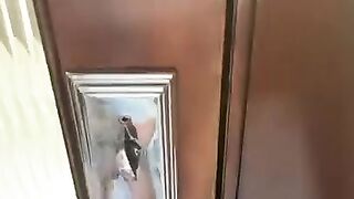 ℹ️ Twin sister pregnant prank! #Shorts