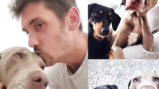 Funny dogs from Brazil lol