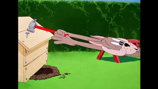 Tom & Jerry   Dogs VS Cats   Classic Cartoon Compilation   @WB Kids