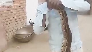 [ANIMAL] Snakes Bite
