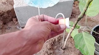 Drip irrigation for a month without intervention