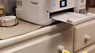 Funny Cat Videos
