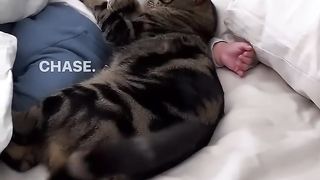 THIS IS SO ADORABLE. ????