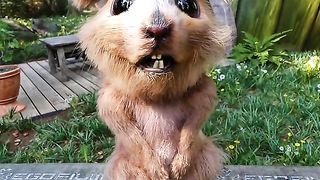 so cute