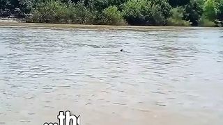 When they realize what's swimming towards them ????.