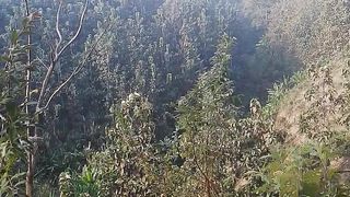 Hill view