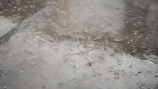 Kashmir mein salabari ka khubsurat manzar.
