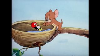 Tom & Jerry   Animal Kingdom   Classic Cartoon Compilation   WB Kids