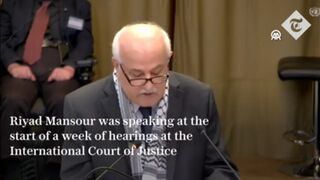 ICJ: Palestine presents case against Israeli occupation | Al Jazeera Newsfeed