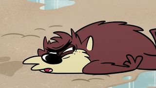 Taz Replacement   Taz Quest For Burger   @wbkids​