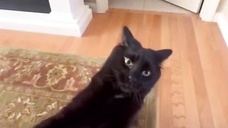 ok this move is special