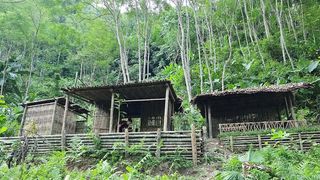 24 Hours In Forest - Picking Wild Fruits And Setting Traps