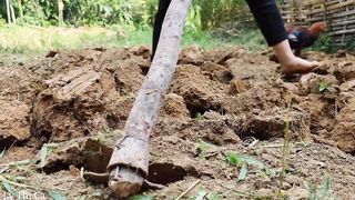 How to build farm - Make a bamboo fence