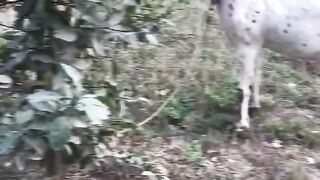???? goat enjoying food...????