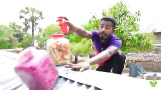 Tik tok Viral Funny Video 2022 try Not To Laugh????????⚡
