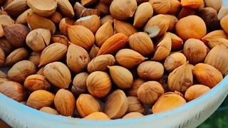 Dry apricot|apricot seeds|
